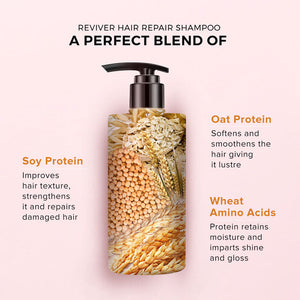 De Fabulous Reviver Hair Repair Shampoo 250ml – key benefits