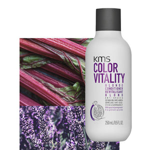 KMS - ColorVitality Blonde Conditioner 250ml – product view 4