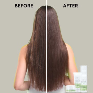 Wella Professionals - Premium Care Elements Lightweight Renewing Shampoo 250ml & Conditioner 200mlDuo Bundle