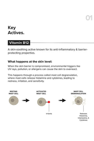 Minimilist - B12 + Repair Complex 5.5% Face Moisturizer-50G - Zilion
