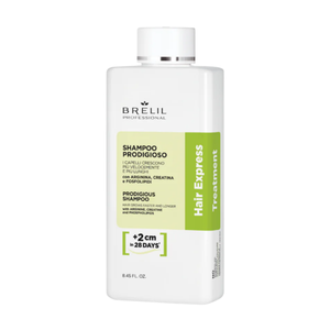 Brelil - Hair Express Prodigious Shampoo & Mask Duo Bundle – Brelil Hair Express Prodigious Shampoo 250ml