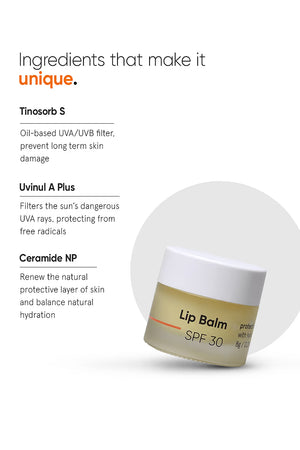Minimilist - Lip Balm SPF 30 - Zilion