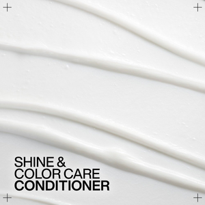 Redken - Acidic Color Gloss Conditioner 300ml – how to use