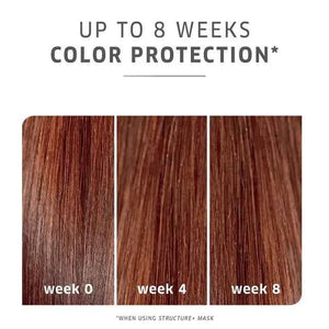 Wella Professionals - Premium Care ColorMotion+ Shampoo, Conditioner & Mask Trio Big Bundle