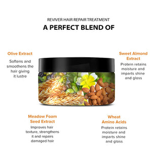 De Fabulous Reviver Hair Repair Treatment 250ml – key benefits