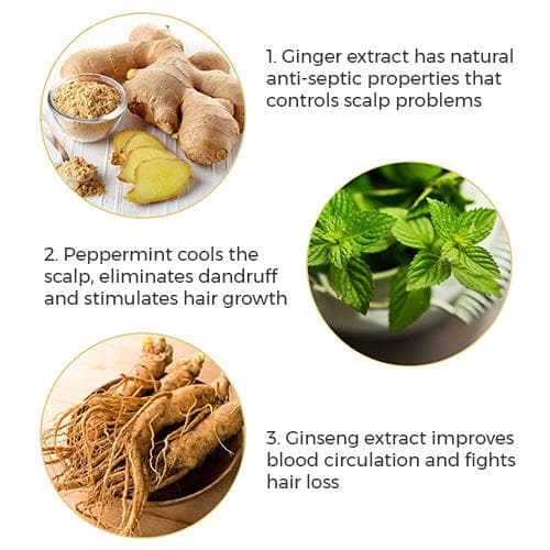 De Fabulous Ginger Energizing Conditioner 250ml – key ingredients
