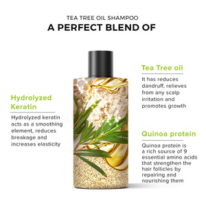 De Fabulous - Tea Tree Oil Shampoo & Conditioner Duo Bundle – De Fabulous Tea Tree Oil Shampoo 250ml (detail)