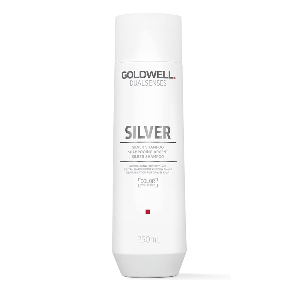 Goldwell - Silver Shampoo & Conditioner Duo Bundle – Goldwell Silver Shampoo 250ml