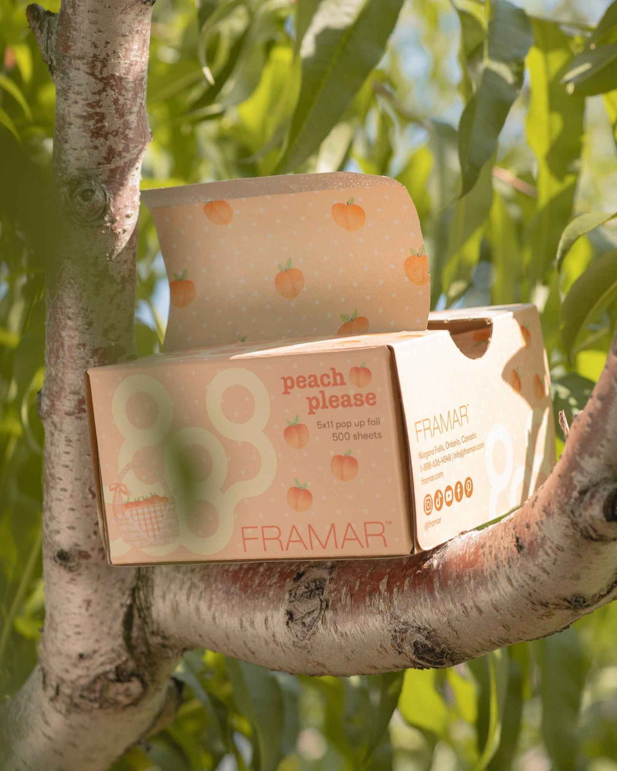 Framar - Pop Up Foil - Peach Please 500 Sheets