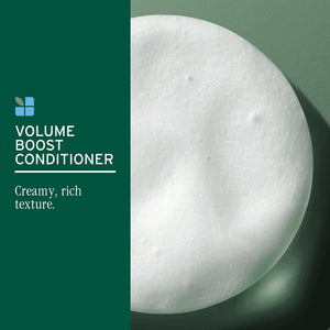 Biolage - Volume Boost Conditioner – product image