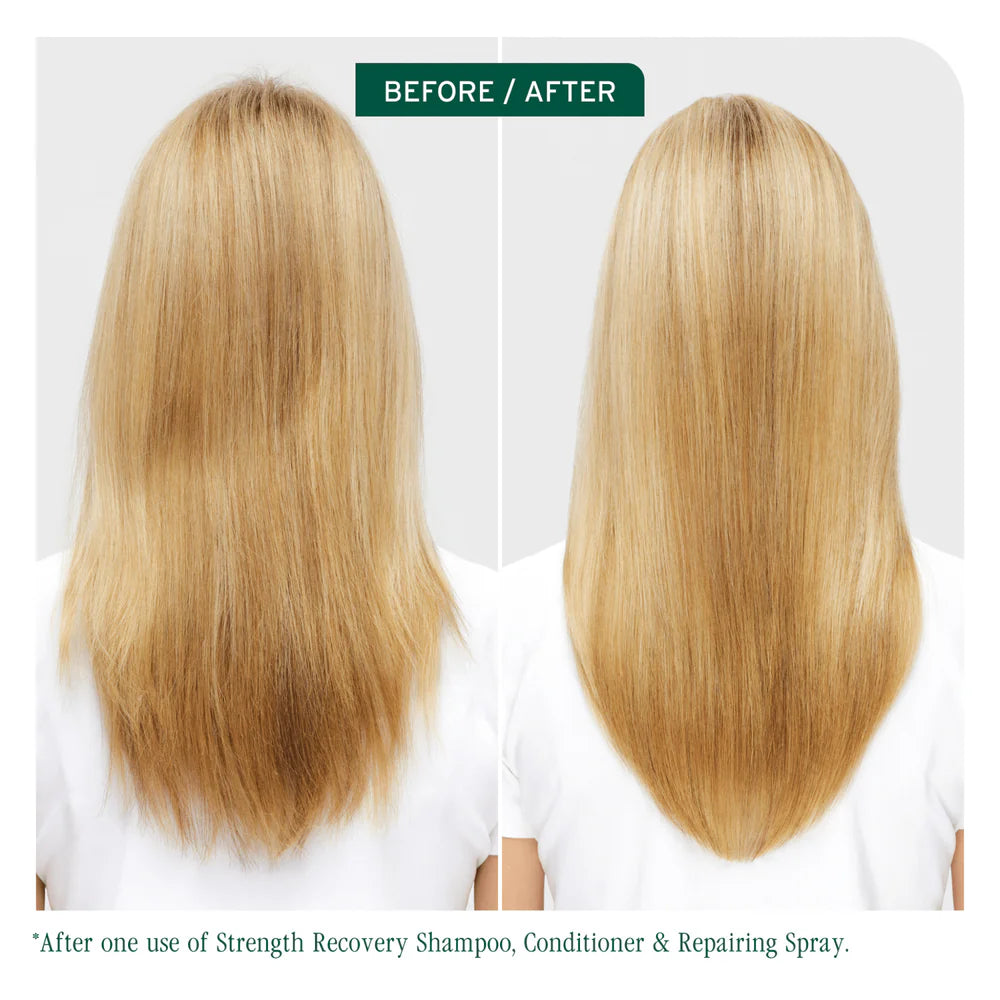 Biolage - Strength Recovery range – product image