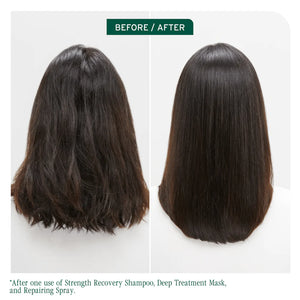 Biolage - Strength Recovery range – product image