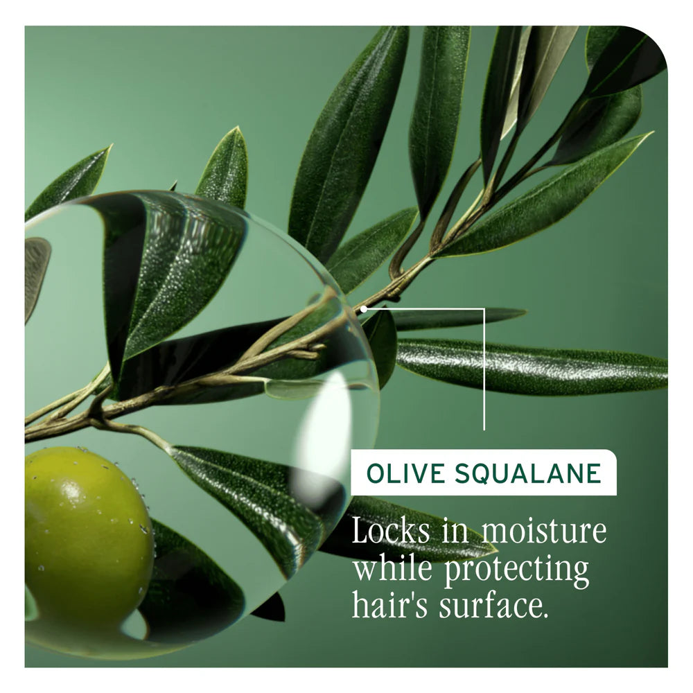 Biolage - Strength Recovery range – product image