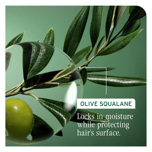 Biolage - Strength Recovery range – product image