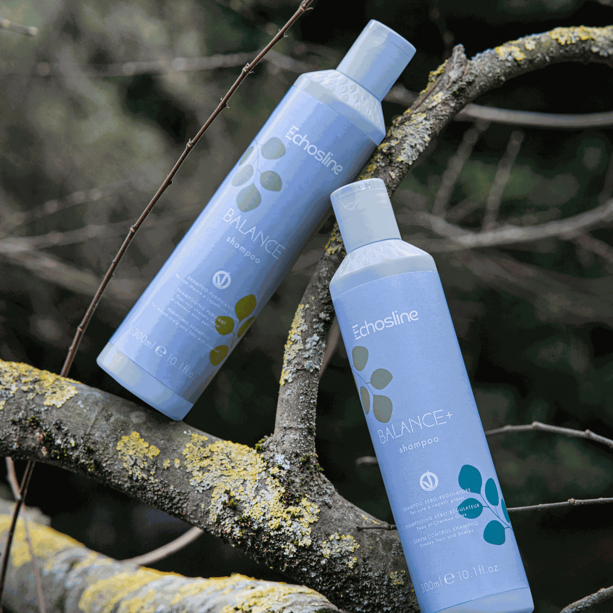 Echosline Balance+ Sebum Control Shampoo 300ml – product shot