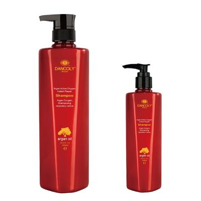 Angel En Provence - Argan Active Oxygen Shampoo, Conditioner & Mask Trio Bundle – Angel En Provence Argan Active Oxygen Instant Repair Shampoo 300ml