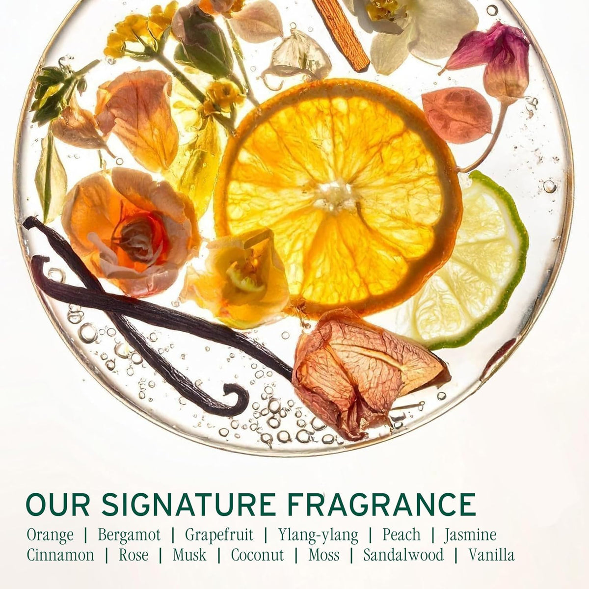 Biolage - Color Last Conditioner 400ml – product view 9