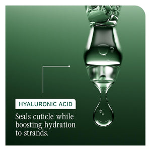 Biolage - Hydra Source Shampoo 400ml – product view 6