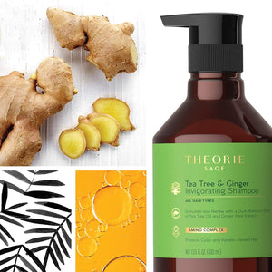 Theorie - Tea Tree & Ginger Shampoo & Conditioner Duo Bundle – Theorie Tea Tree & Ginger Shampoo 400ml (detail)